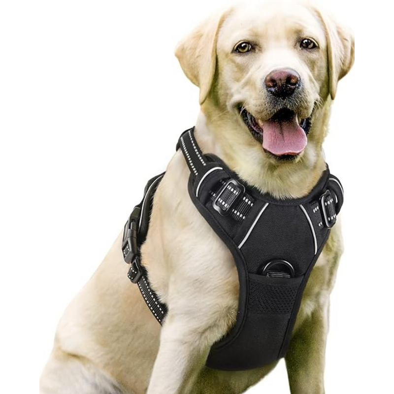 No-Pull Dog Harness: Safety, Control And Comfort: The Ultimate Dog Harness. Are you tired of struggling during walks? Does your dog's pulling behaviour cause stress and frustration? 