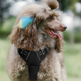 No-Pull Dog Harness: Safety, Control And Comfort: The Ultimate Dog Harness. Are you tired of struggling during walks? Does your dog's pulling behaviour cause stress and frustration? 