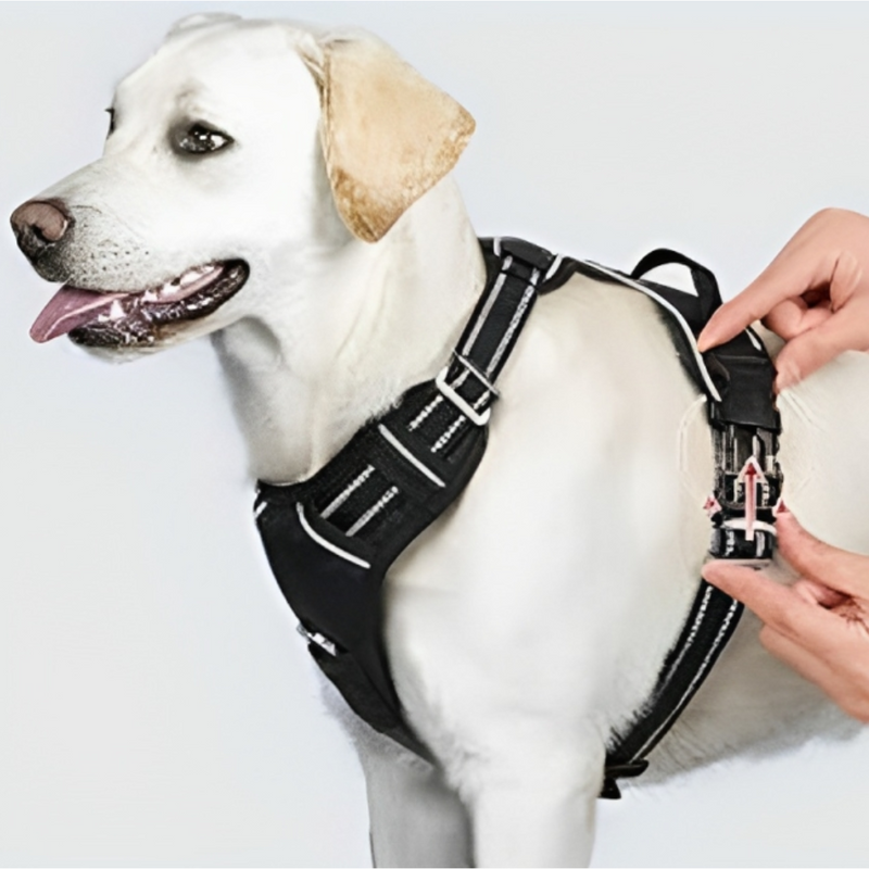 No-Pull Dog Harness: Safety, Control And Comfort: The Ultimate Dog Harness. Are you tired of struggling during walks? Does your dog's pulling behaviour cause stress and frustration? 