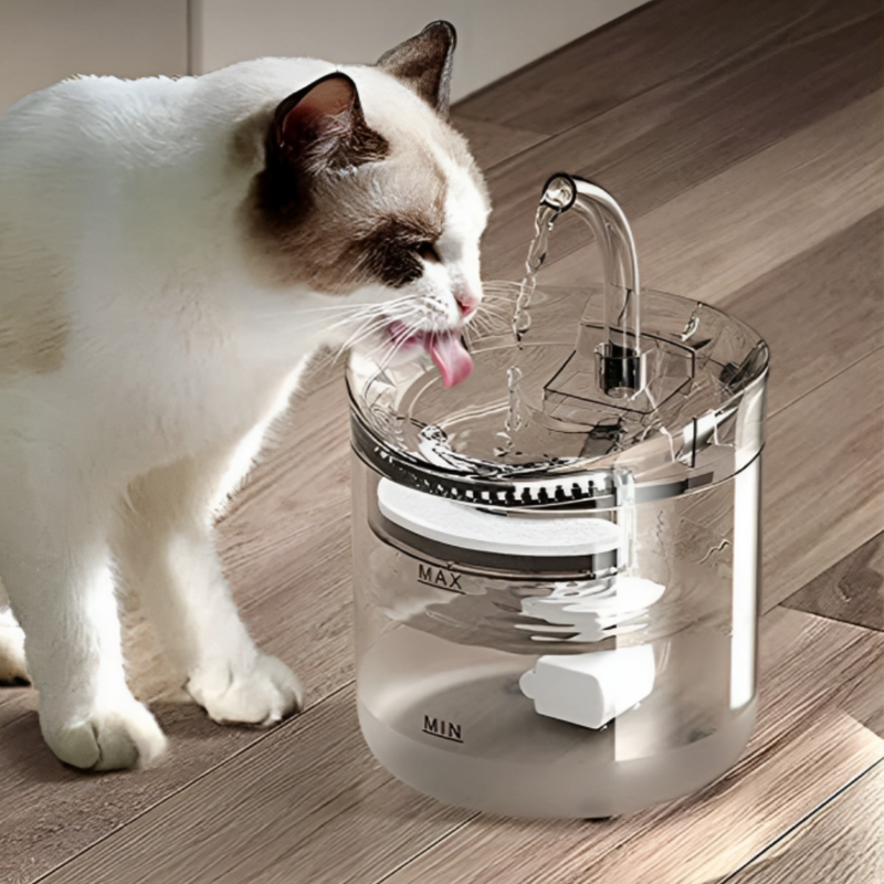 Pet Water Fountain: Elevate Pet Care With Our Stylish Pet Water Fountain. Tired of constantly worrying about your pet's hydration when you're not at home?